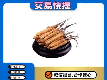 河源回收冬虫夏草多少钱每克